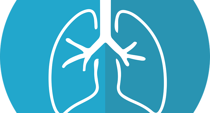 Atención: Charla informativa acerca de la bronquilitis